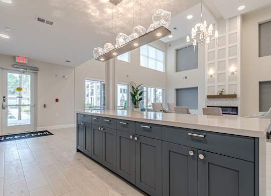 Clubhouse Kitchen at Briar Park 55+ Apartments, Georgia, 30331