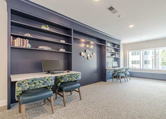 Library at Briar Park 55+ Apartments, Georgia