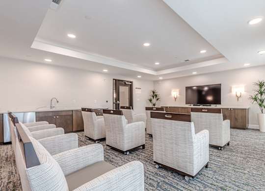 Theater at Briar Park 55+ Apartments, Atlanta, 30331