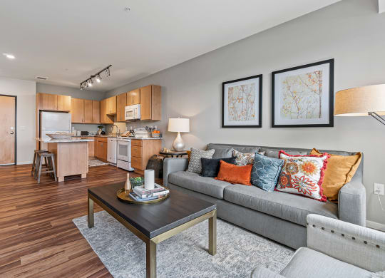 Living And Kitchen at Brighton Oaks, New Brighton Minnesota