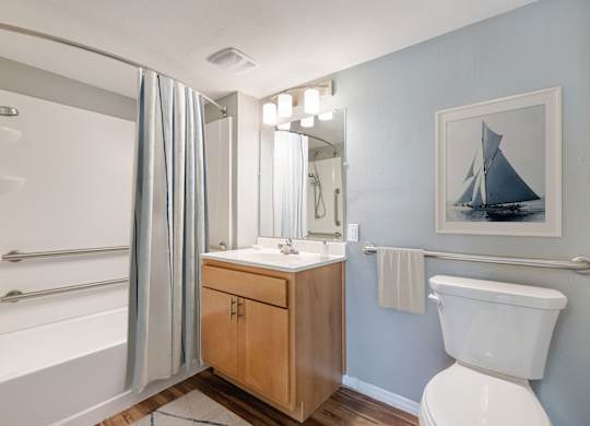 A bathroom with a white toilet, a wooden cabinet, and a painting of a sailboat on the wall.