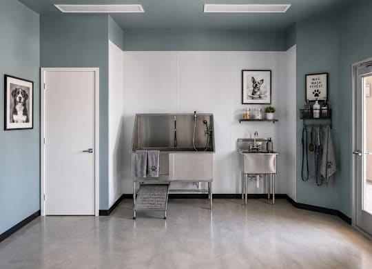 Dominium_Cholla Ranch_Dog Wash Station Rendering