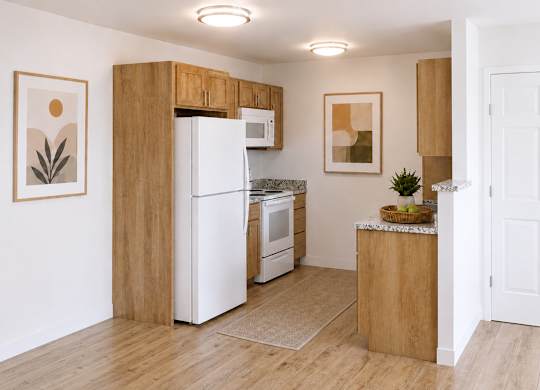 Dominium_Cholla Ranch_Kitchen Rendering