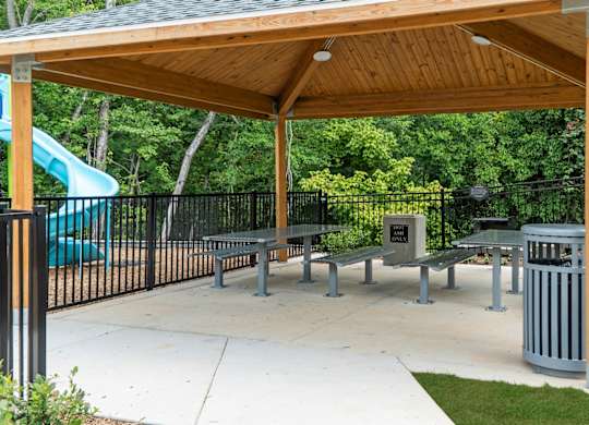 Picnic at Creekridge on the Park Apartments, Charlotte 28212