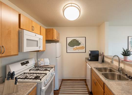 Dominium_Desert Willow_Kitchen-5