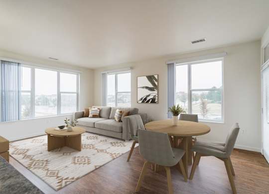 A living room with a grey couch, a wooden coffee table, and a rug.