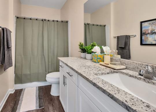 A bathroom with a toilet, sink, and shower curtain.