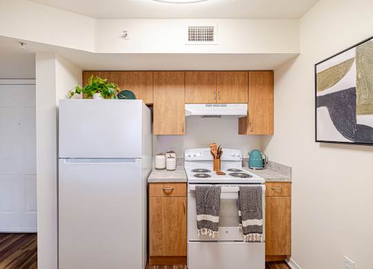 Dominium_Heron Ridge_Kitchen2_7_232