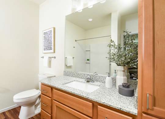 Dominium_Juniper Square_Bathroom 1.jpg
