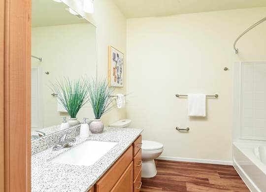 Dominium_Juniper Square_Bathroom 2.jpg