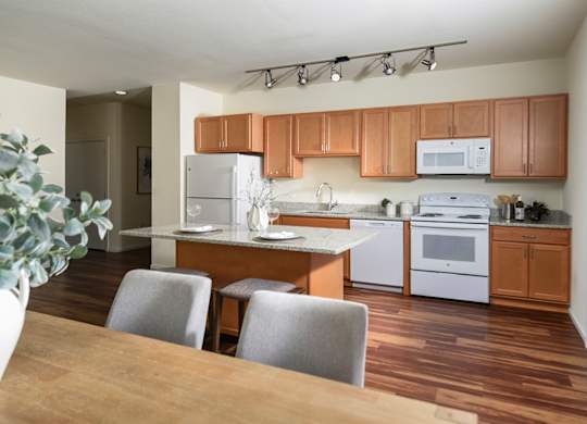 Dominium_Juniper Square_Kitchen 2.jpg