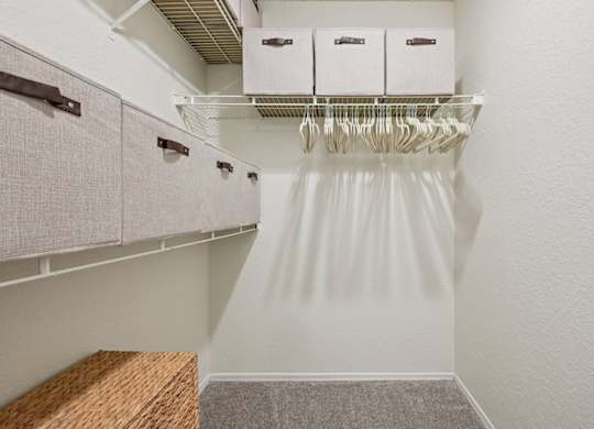 Spacious Closet at The Lucille Apartments, Florida, 34996