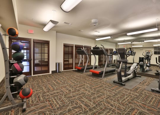 Fitness Center at Cedars of Elk Drive 55+ Apartments, Burleson Texas
