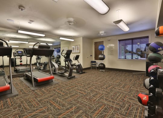 a gym with weights and cardio equipment in a room with a window at Cedars of Elk Drive 55+ Apartments, Texas