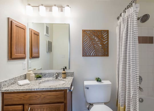 Luxurious Bathroom at Mission at Baytown, Texas