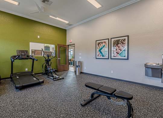 A gym with treadmills, exercise bikes, and other equipment.