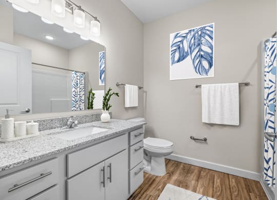 Guest bath  at Osprey Park 62+ Apartments, Kissimmee, FL