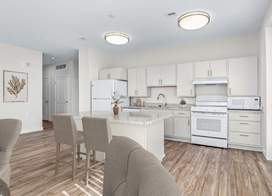 Modern Kitchen at Osprey Park 62+ Apartments, Kissimmee, Florida