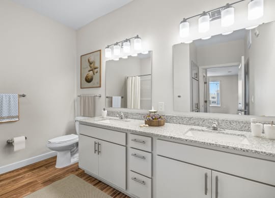 onsuite bathroom at Osprey Park 62+ Apartments, Florida