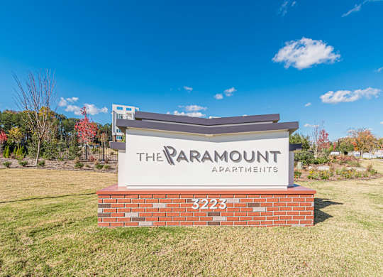 Dominium_Paramount_Community16.jpg