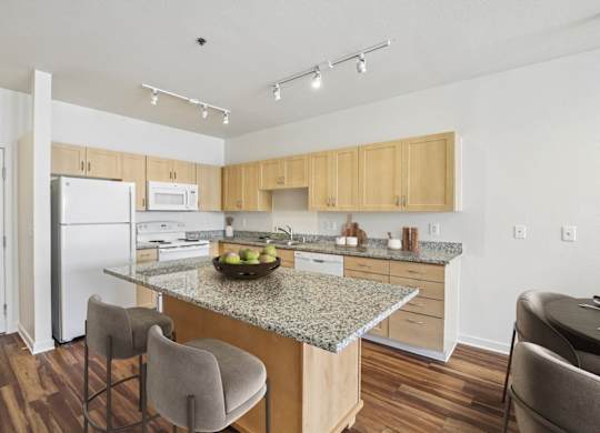 Dominium_Park Avenue West_Kitchen1