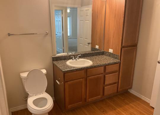 a bathroom with a sink toilet and a mirror
