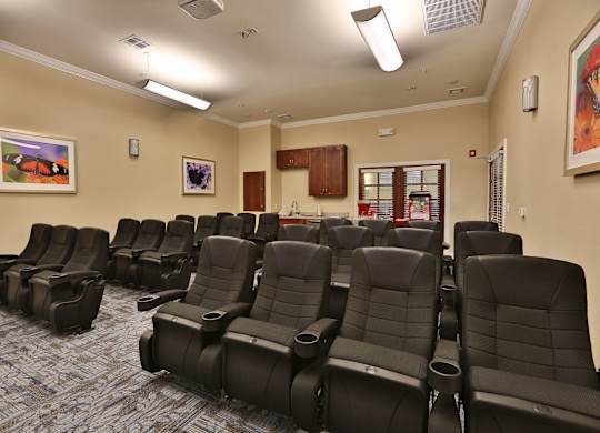 our theater room is full of leather chairs and has a kitchen in the back