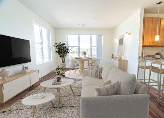 A living room with a grey couch and a wooden floor.