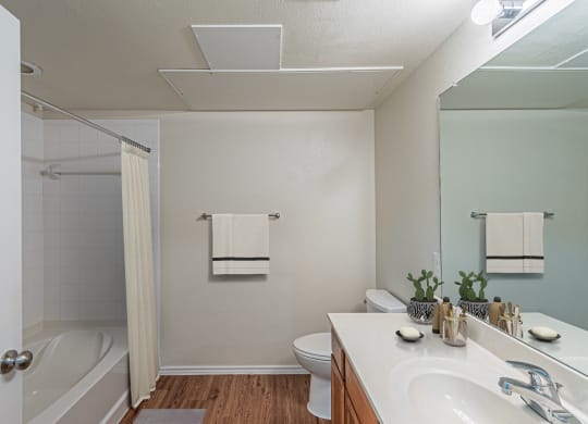 Bathroom With Bathtub at Mariposa at Spring Hollow Saginaw 55+ Apartments, Saginaw, TX 76131