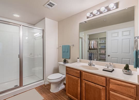 Luxurious Bathroom at Mariposa at Spring Hollow Saginaw 55+ Apartments, Saginaw, 76131