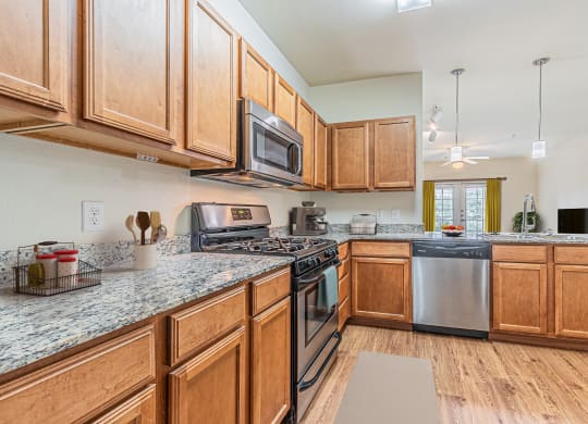 Furnished Kitchen at Mariposa at Spring Hollow Saginaw 55+ Apartments, Saginaw, TX 76131