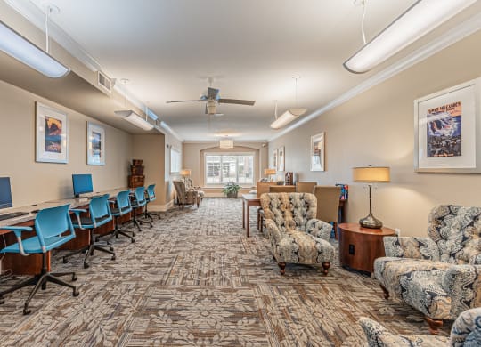 Business Center at Mariposa at Spring Hollow Saginaw 55+ Apartments, Texas