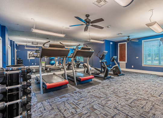 Fitness Center at Mariposa at Spring Hollow Saginaw 55+ Apartments, Saginaw
