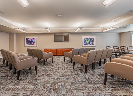 Theater Room at Mariposa at Spring Hollow Saginaw 55+ Apartments, Saginaw, TX