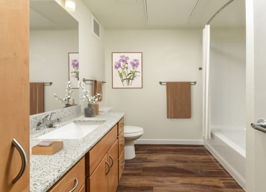 Dominium_Suncrest Vista_Bathroom 2 Rendering.jpg