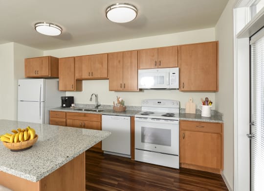 Dominium_Suncrest Vista_Kitchen Rendering.jpg