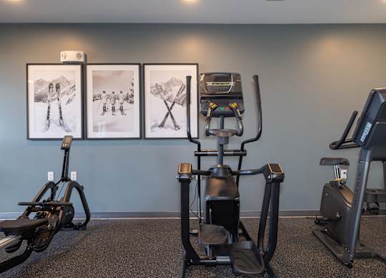 A gym with a treadmill, a stationary bike, and a rowing machine.