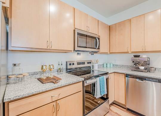 Dominium_The Meridian_Apartments03.jpg