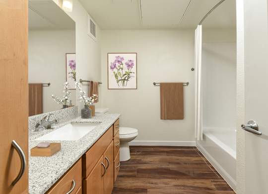 Bathroom at The Addie at Metro Center 55+ Apartments, Colorado