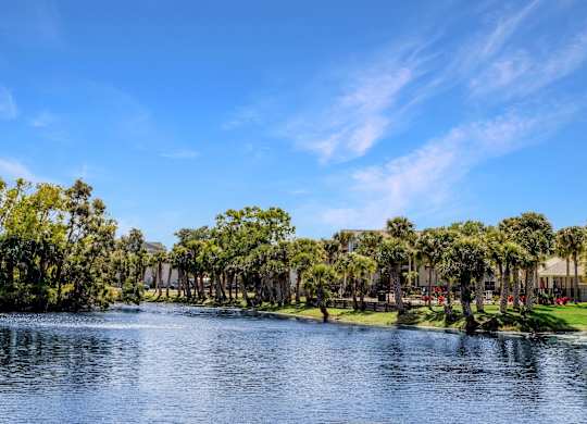 A serene lake surrounded by lush green trees under a clear blue sky.