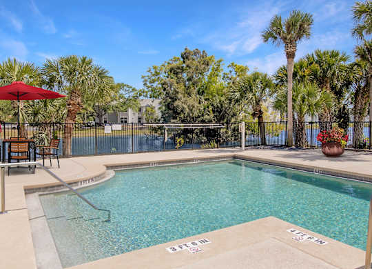 A pool surrounded by palm trees and a fence.
