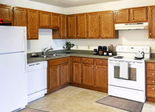 Dominium_Tralee Terrace_Virtually Staged Apartment Kitchen