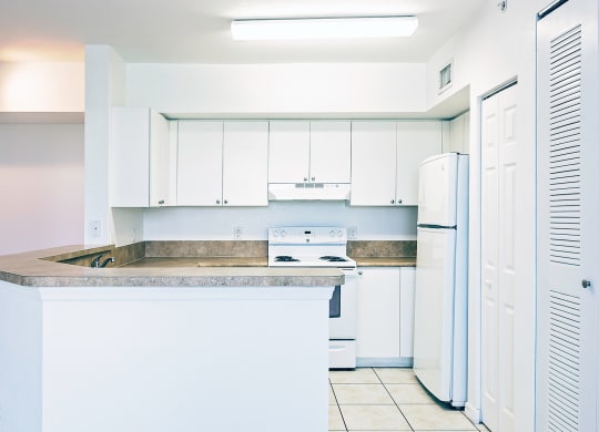 Dominium_Village at Delray_Vacant Apartment Kitchen