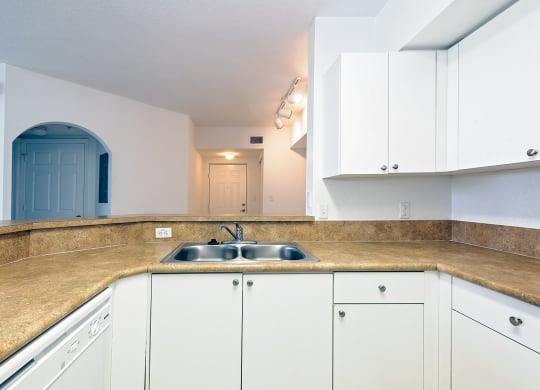 Dominium_Village at Delray_Vacant Apartment Kitchen