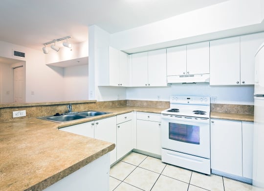 Dominium_Village at Delray_Vacant Apartment Kitchen
