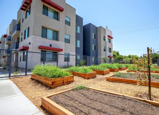 Community Gardenat Vista Ridge Apartments, Phoenix, AZ