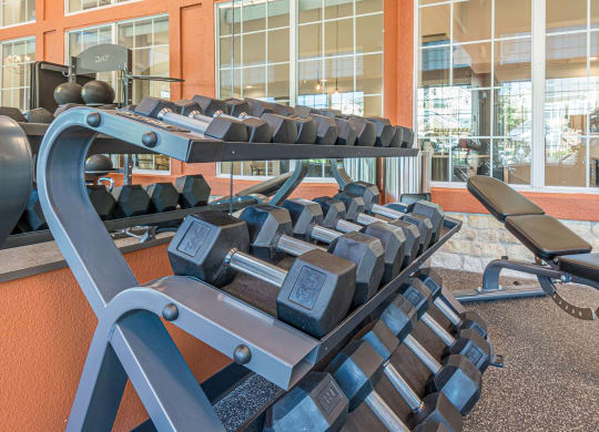 Free Weights at Woodway Village, Austin, TX