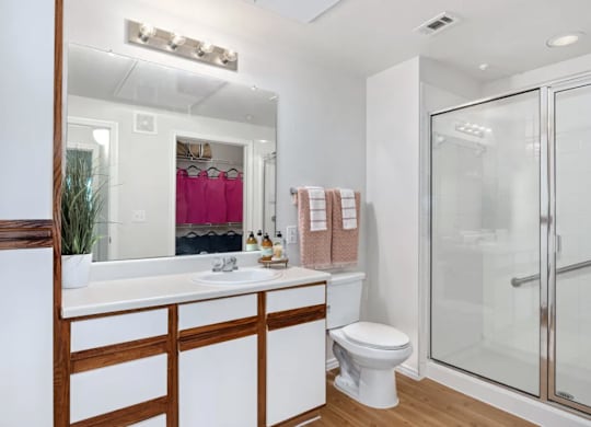 a bathroom with a shower and a sink and a toilet at Mariposa at Bay Colony, Texas