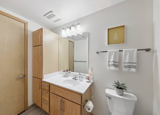 Bathroom with sink at Arcade Apartments, St Louis, 63101