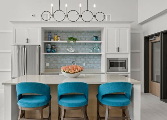 community clubhouse kitchen at Osprey Park 62+ Apartments, Kissimmee, FL, 34758